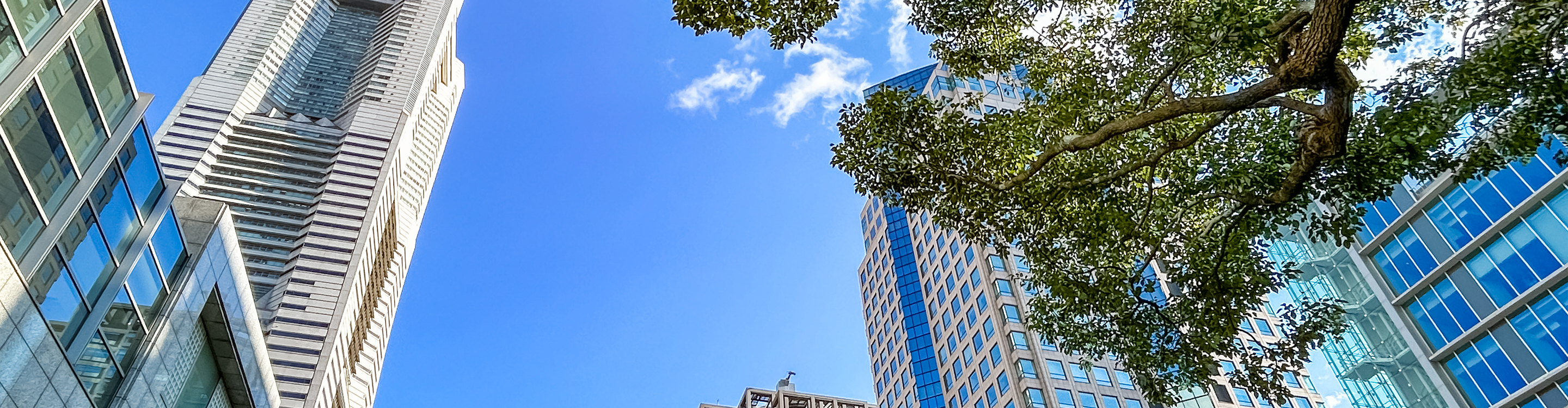 caption: Lorem ipsum